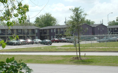 Belarbor